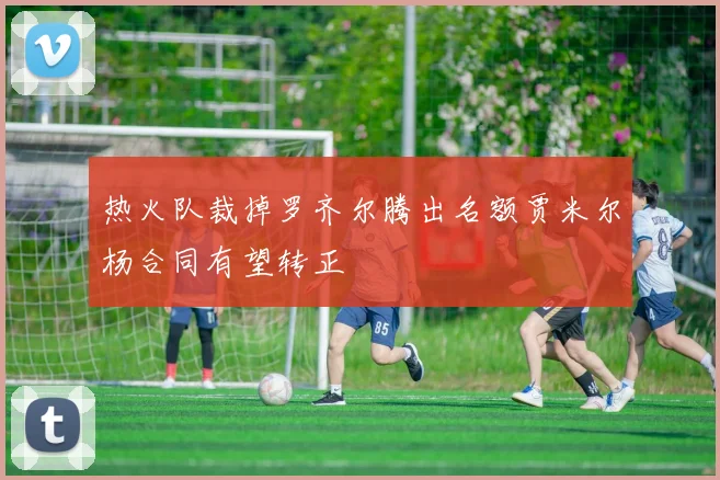 热火队裁掉罗齐尔腾出名额贾米尔杨合同有望转正